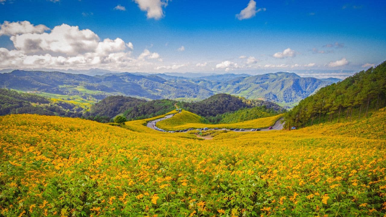 travel-story-1726810491_77386456d39458d722fa-0