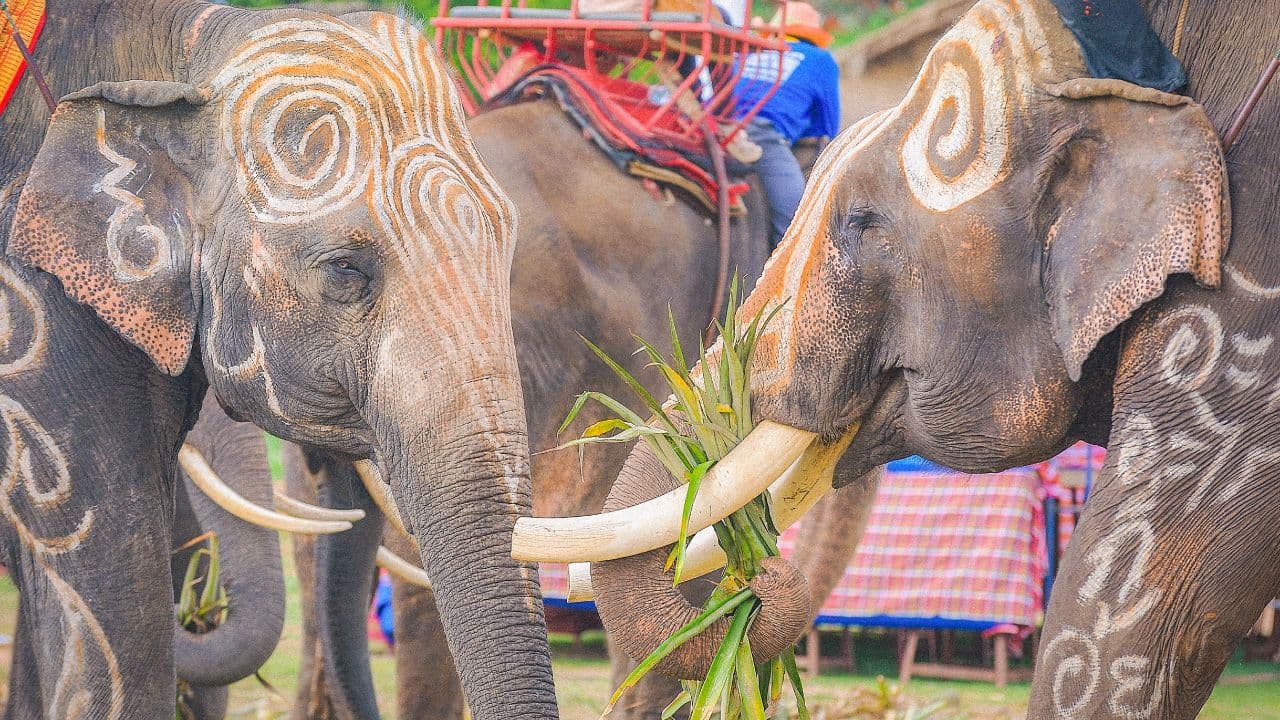 travel-story-1726811051_f2058a23888592d36917-0