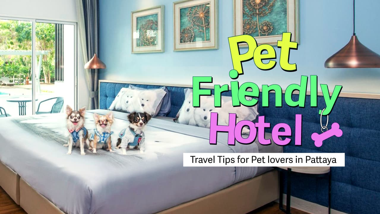 travel-story-Gother_Non-KLUB_Pet-Friendly-hotel16-9_en-0