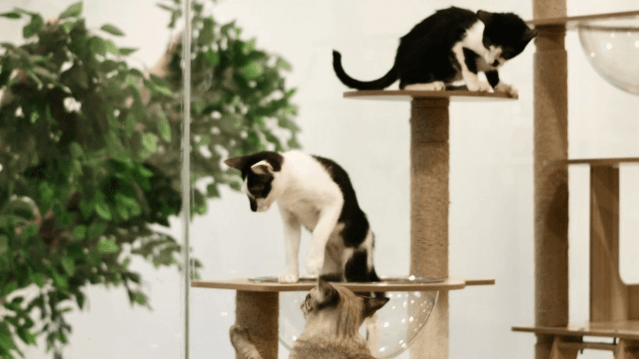 travel-story-1751517296_284e4362e2e3f1407cef-0