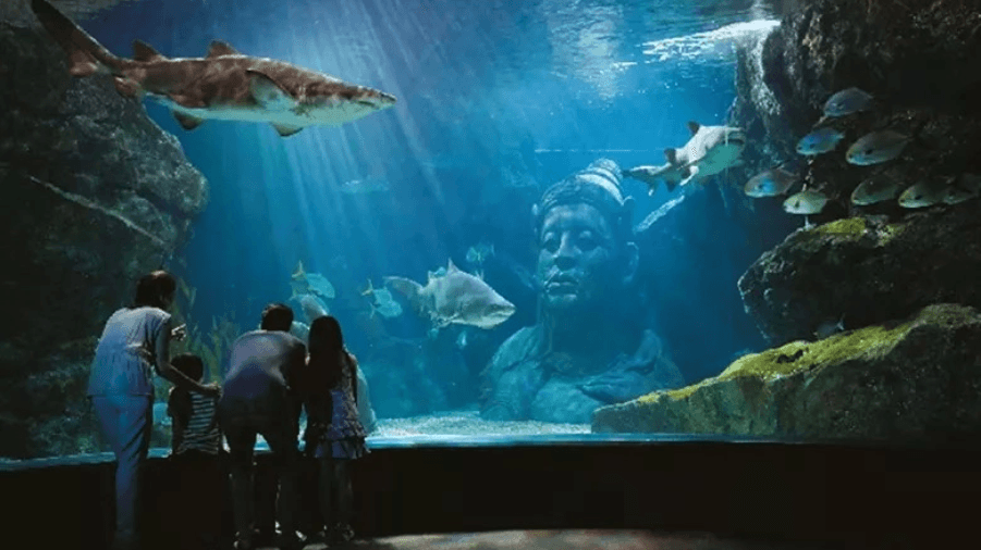 travel-story-1751517885_e835e06085ef6936dac0-0