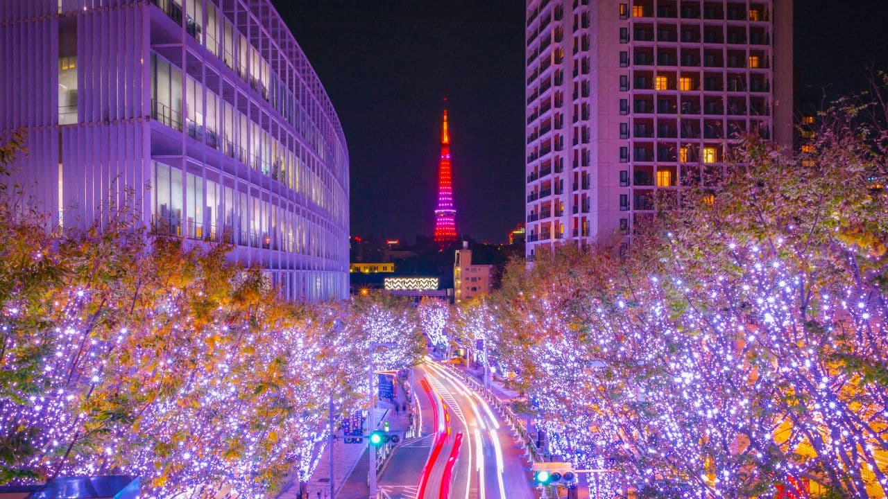travel-story-1733065618_09a76e7002309000d472-0