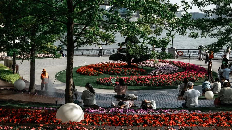 travel-story-1761119563_dca0f7bb64ee01913196-1