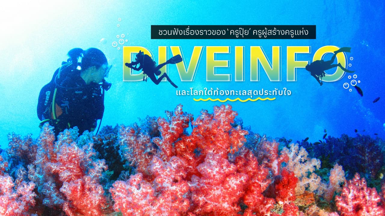 travel-story-Gother_KLUB_Kru_Pui_DiveInfo_Diving_16-9_th-0