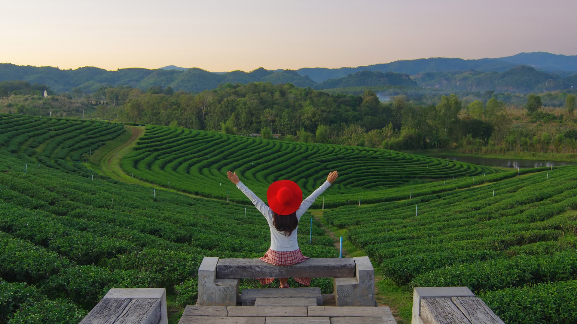 travel-story-1741062251_4128c8b40fd0648adb4e-0