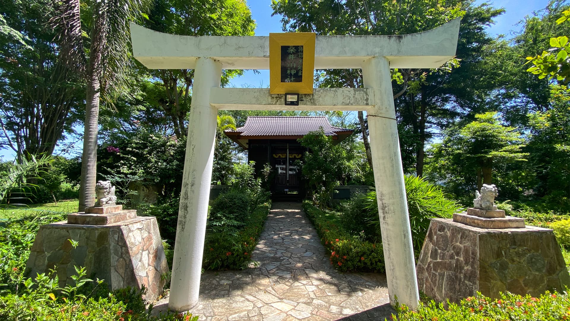 travel-story-1741062496_cac7d516c24acbf76978-0