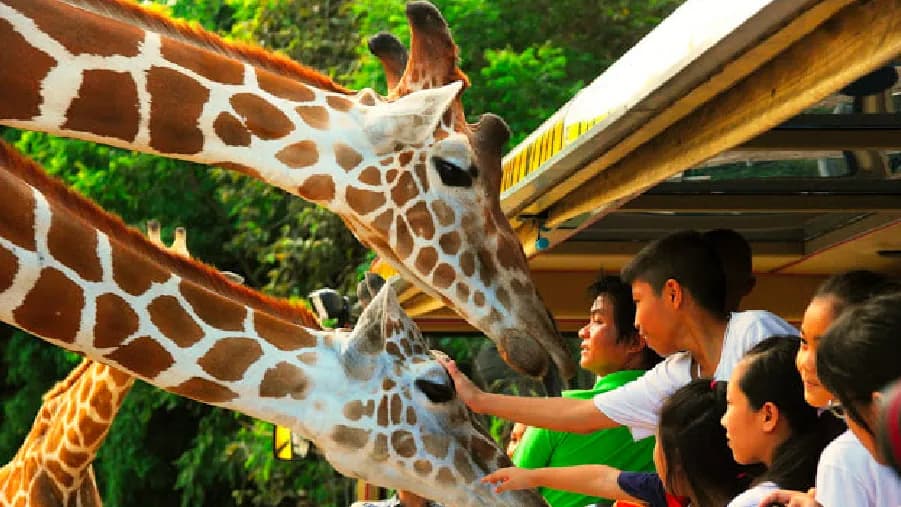 travel-story-1767324225_658849aaa214c34321b2-0