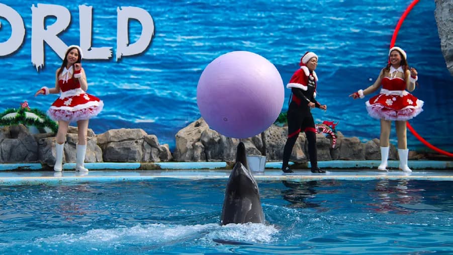 travel-story-1767324259_e3f42aed585be3c7bbcb-0