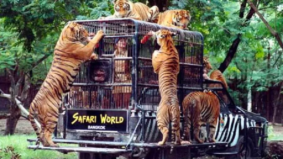 travel-story-1767327092_d9e67d68c8e507b6341d-0