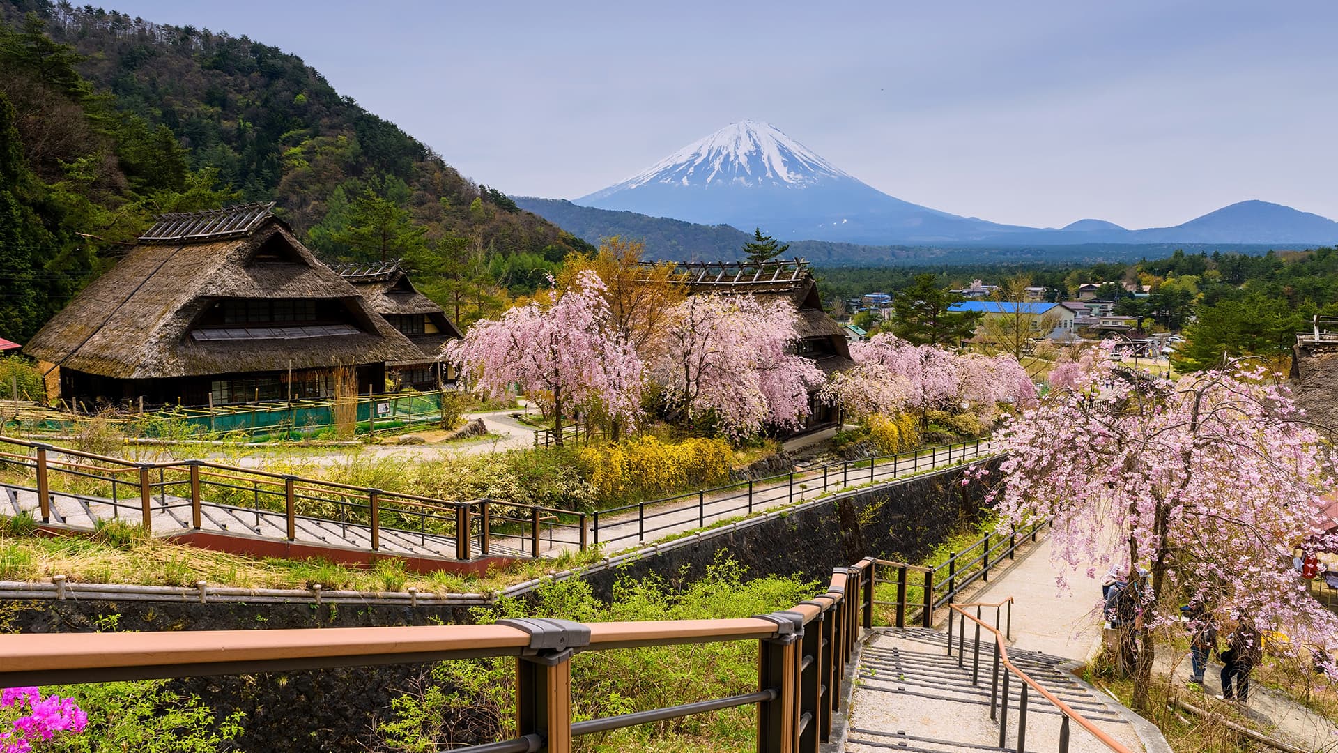 travel-story-1740974360_4da127380d9f7969a4f6-0