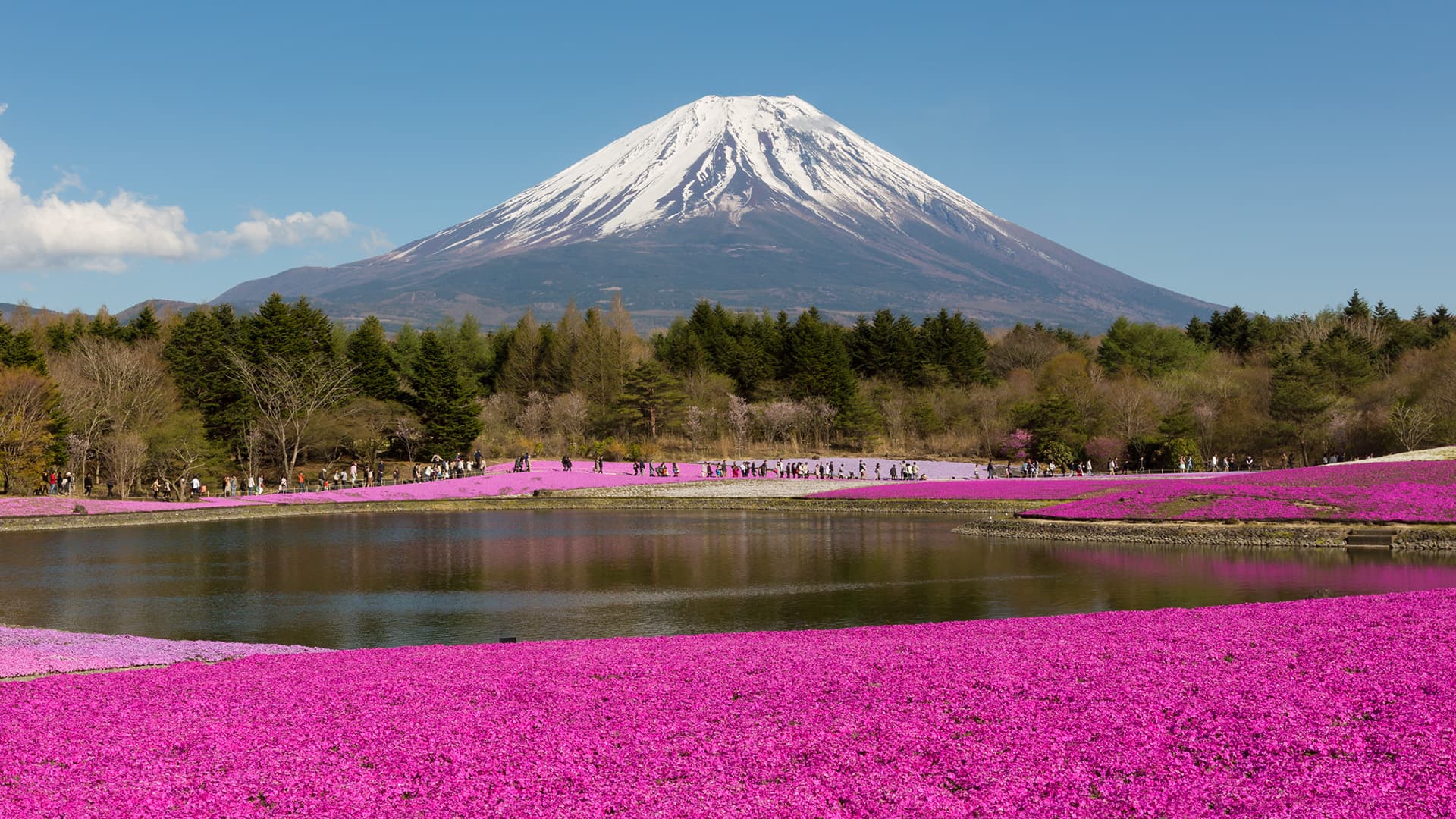 travel-story-1740974471_ead045a71ef3fb6b235b-0