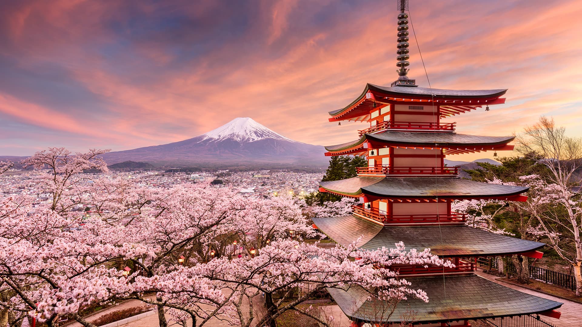 travel-story-1740974605_0f9ec2c112ec4cd34b70-1