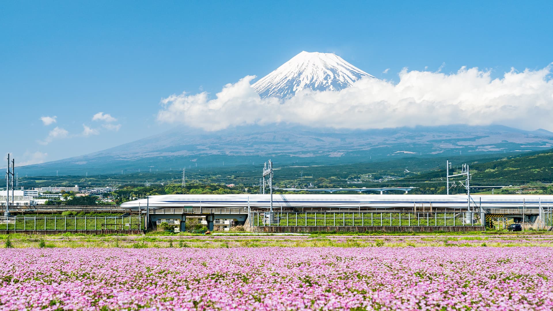 travel-story-1740974628_e0a6c248d1a391a2f0ae-0