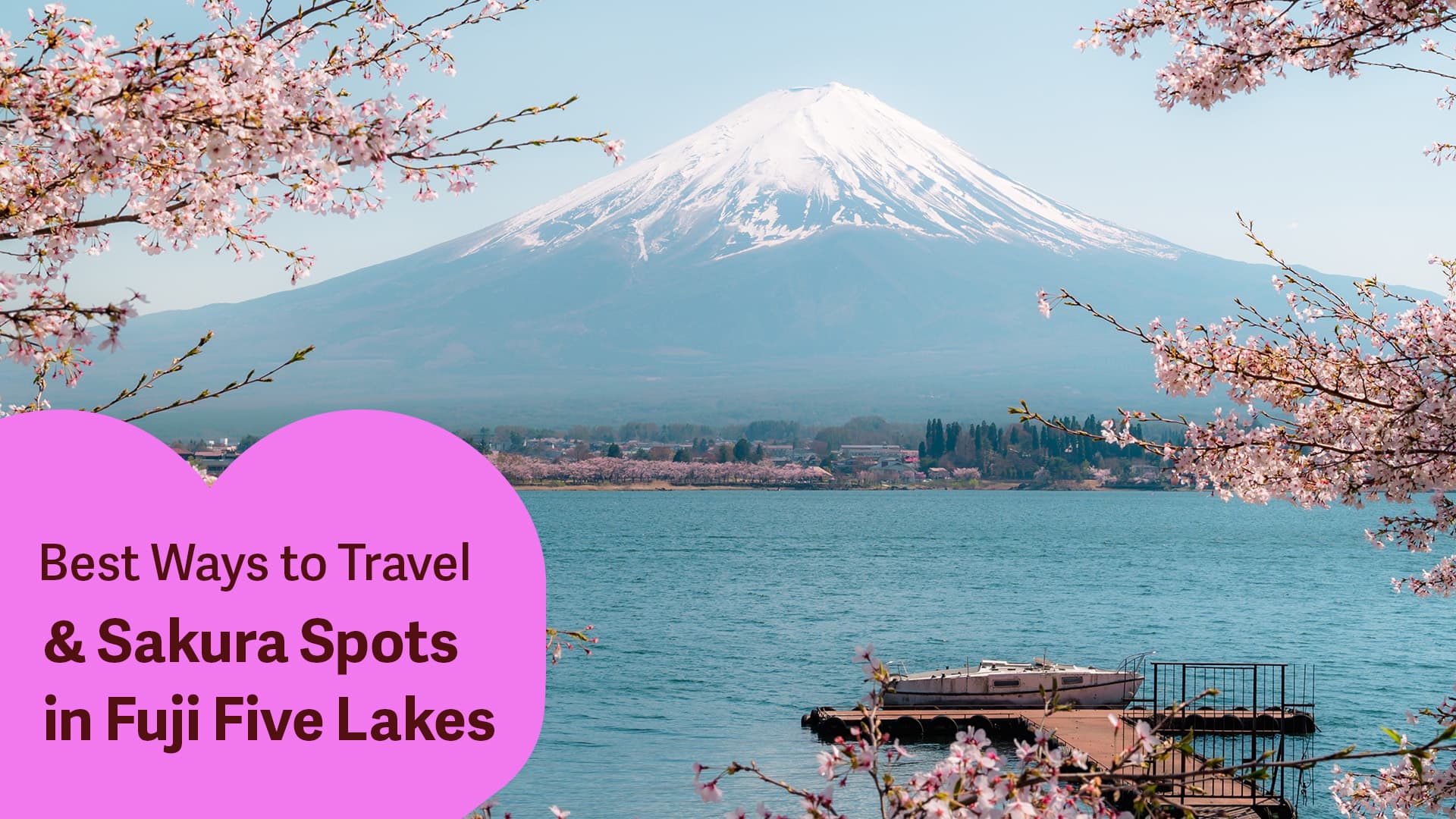 travel-story-1740975019_3bca9037a2ca736a7712-0