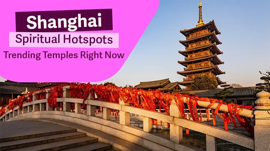 travel-story-1773907173_fa8a04a3e1c3ecb900d4-0