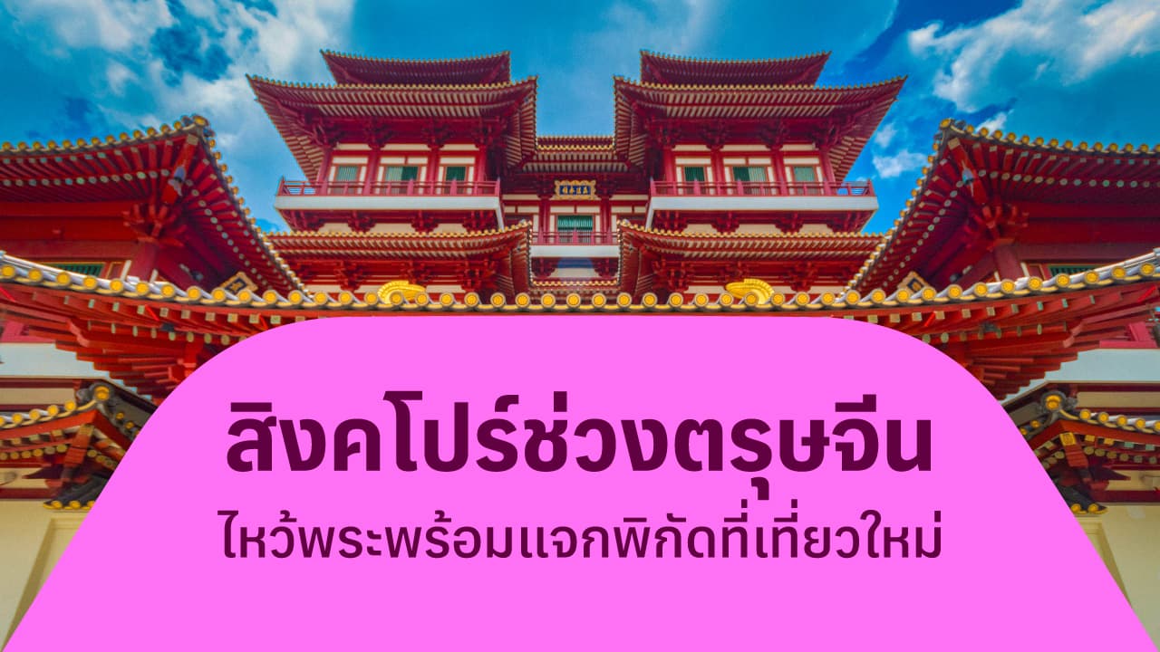 travel-story-1740040720_2a5b72cf30b6630ad1ba-0