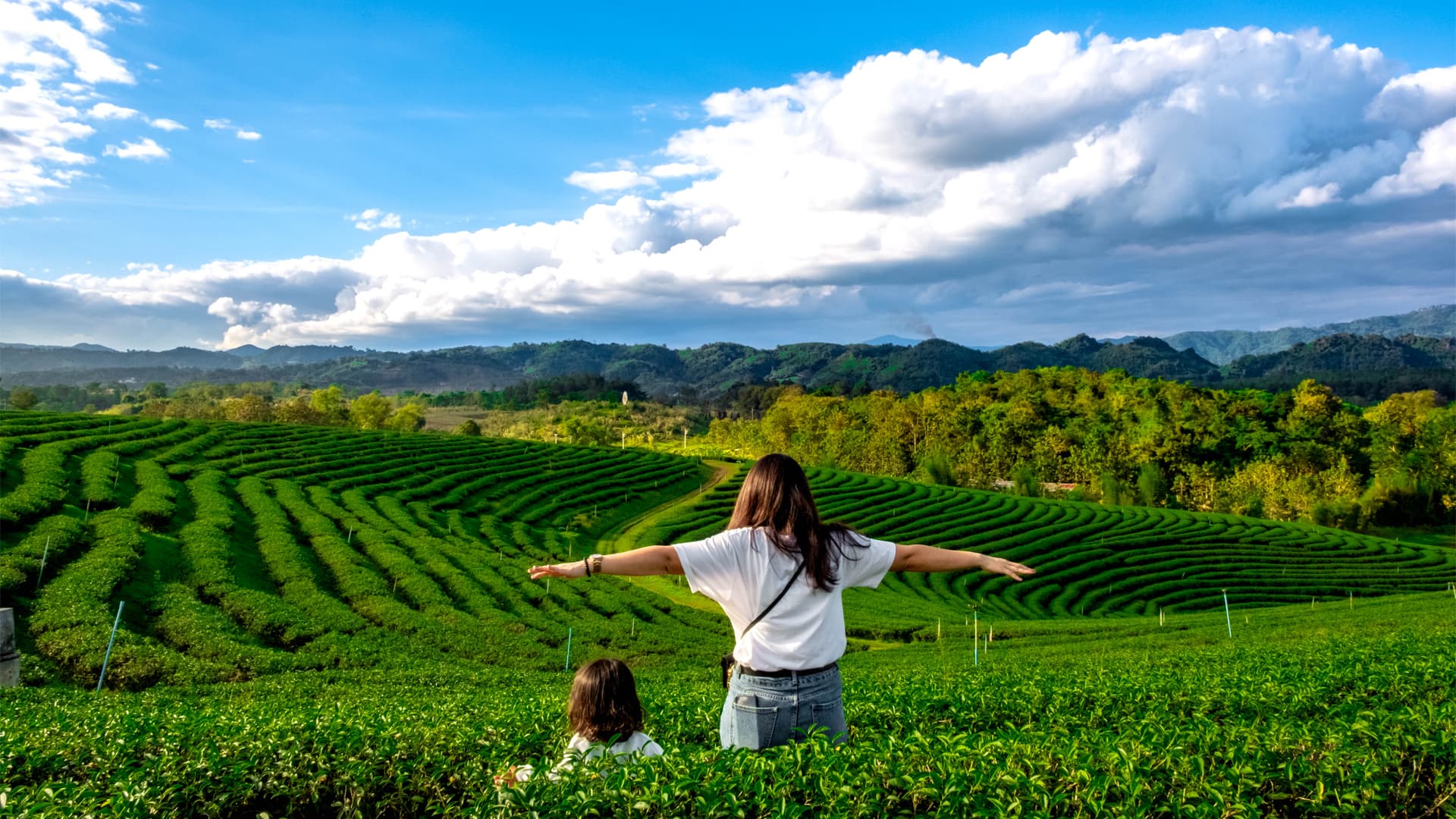 travel-story-1734428593_06f2396d9d0724b53aea-0