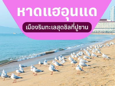 หาดแฮอุนแด เมืองริมทะเลชื่อดังเมืองปูซานที่ต้องไปสัมผัสให้ได้สักครั้ง!