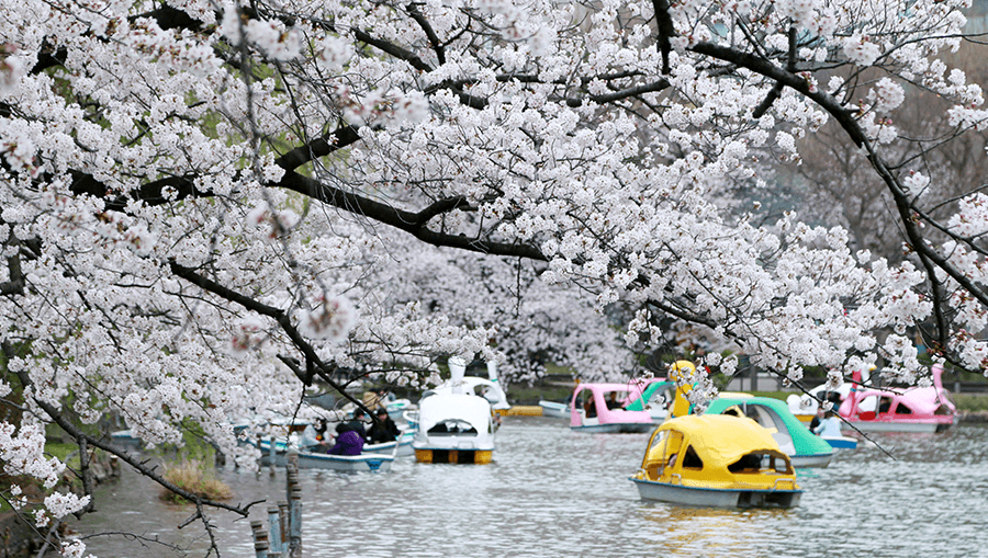 travel-story-1743418543_5860f8973a41374e2c8e-0