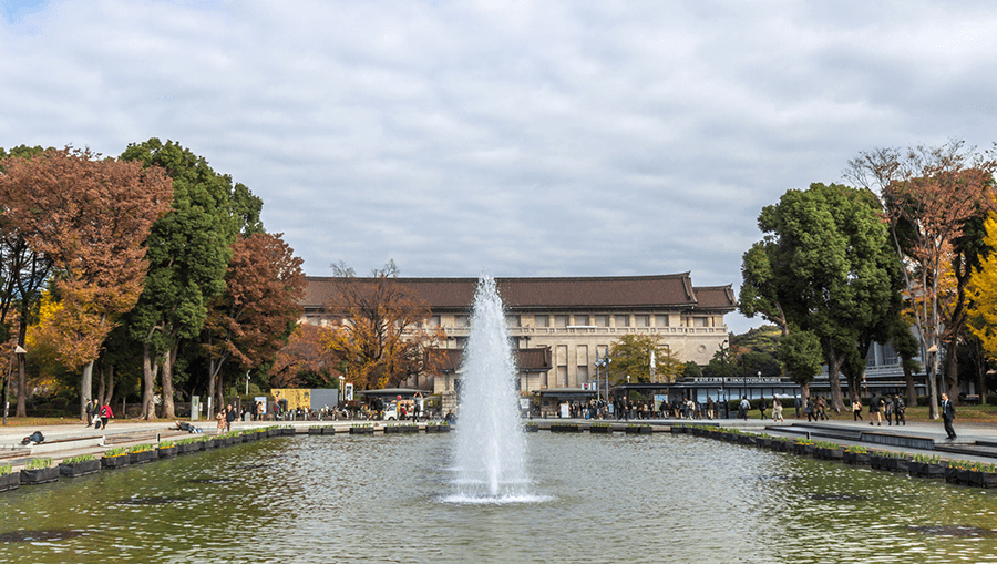 travel-story-1743418559_5d91958774bd717d8bdf-1