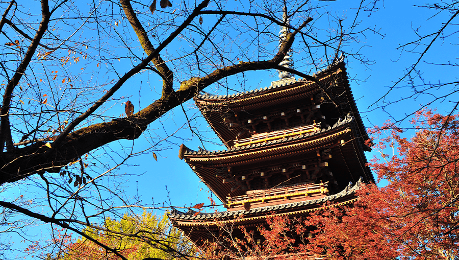 travel-story-1743419458_e81f729e02f53f0815f8-0