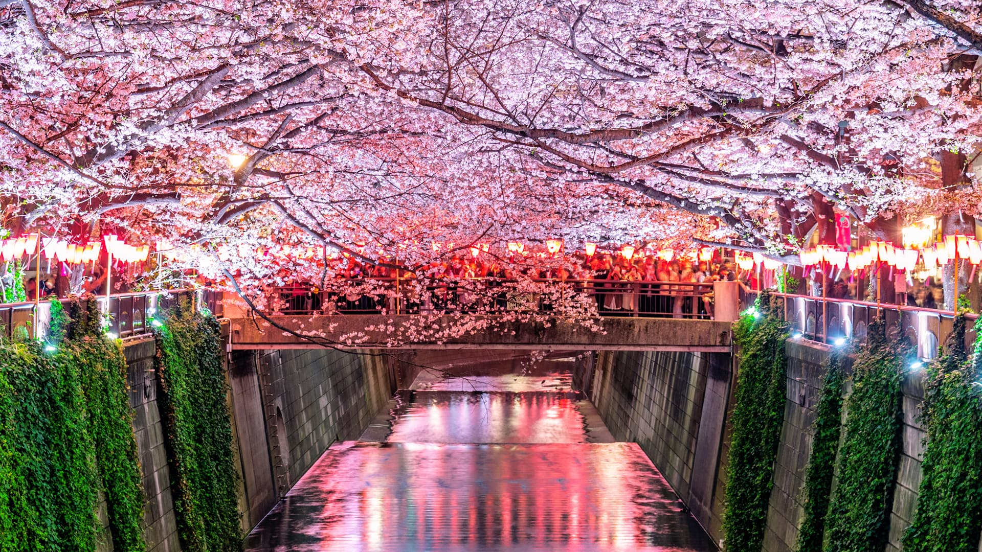 travel-story-1743868899_ca1c33751a120fa6ae83-0