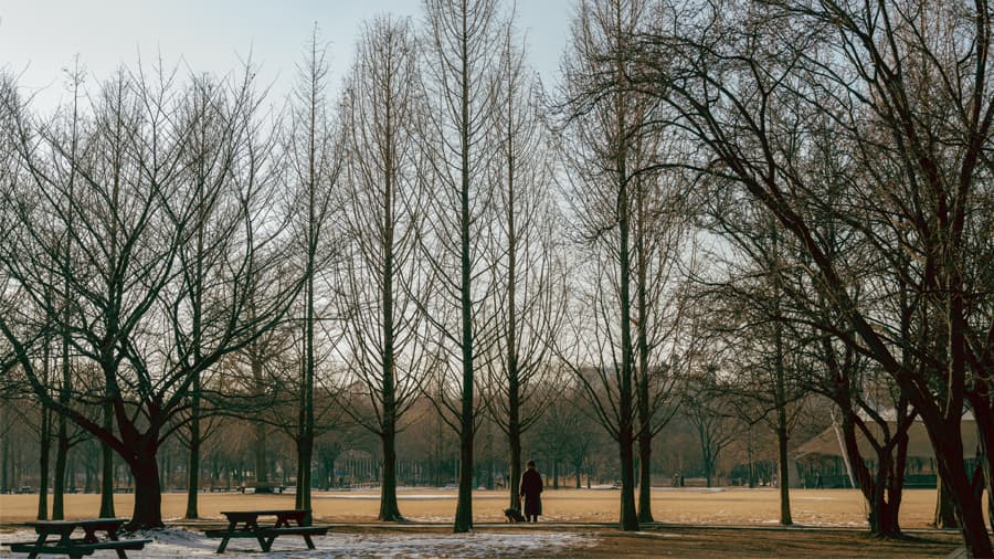 travel-story-1743059345_a7dbfe6732749e0e2f70-0