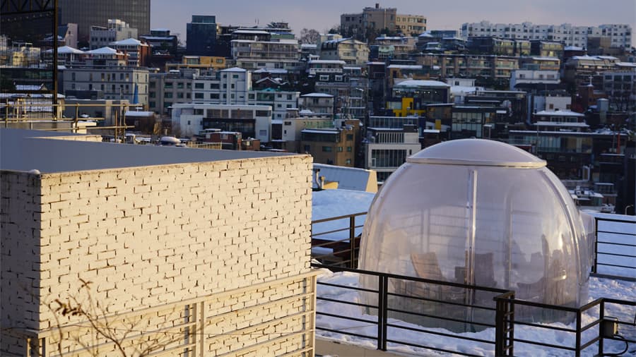 travel-story-1743059354_66484cfa86be0501b08d-0