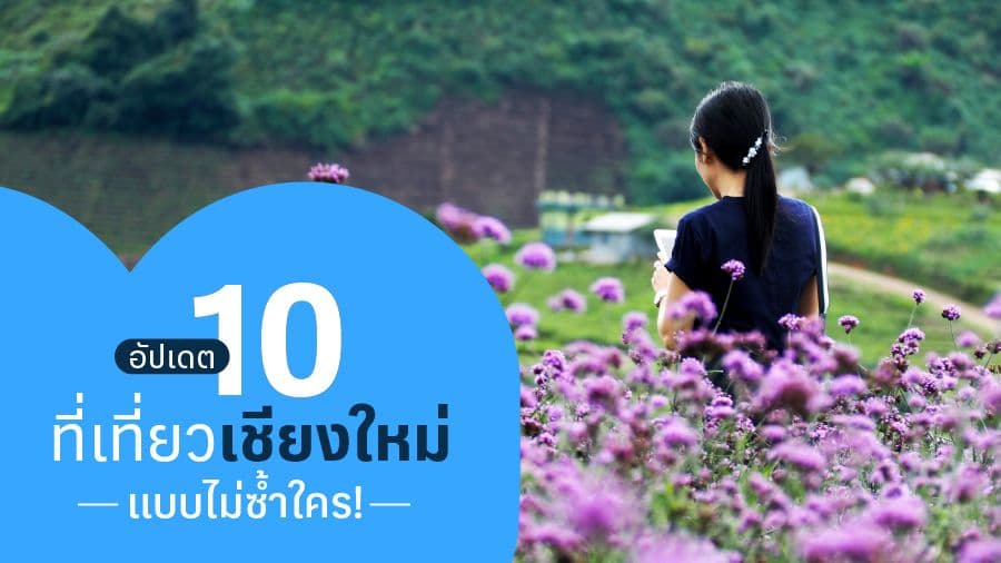 travel-story-1745679863_bfc7ae2044155f4fb3d5-0
