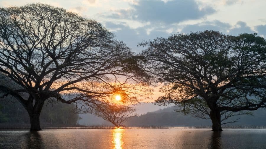 travel-story-1745679878_7da6233c6e8cc1213b3f-0