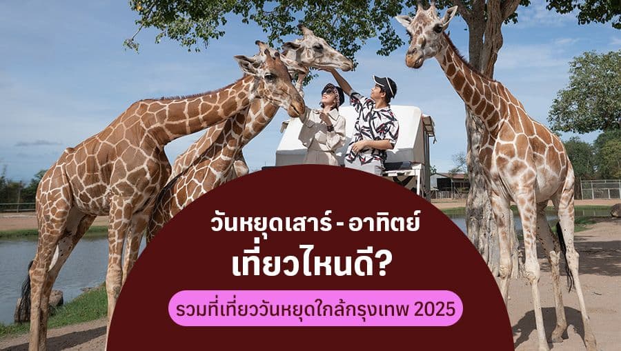 travel-story-1745547884_6eb1ca44e8b60b804b8b-0