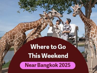 travel-story-1745547887_bbeceba7fb91cace5686-0