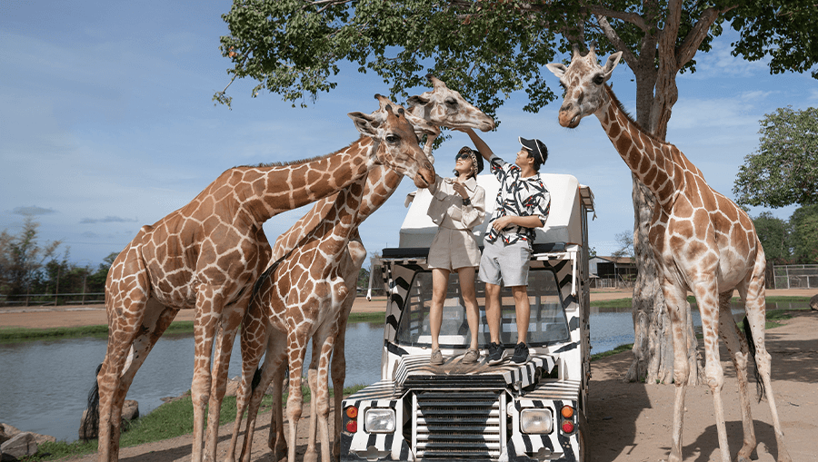 travel-story-1745548198_177be6a4599f85107f35-0