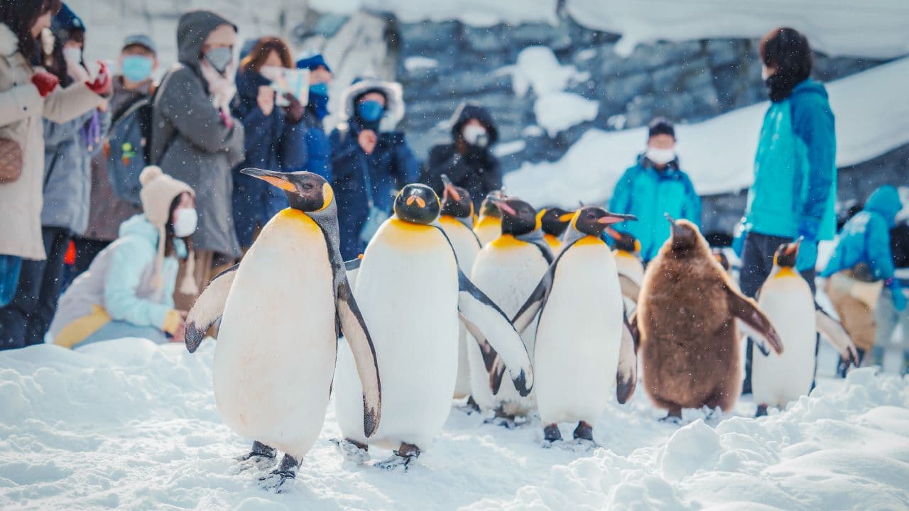 travel-story-1735037568_535ae3342818e3b97f90-0